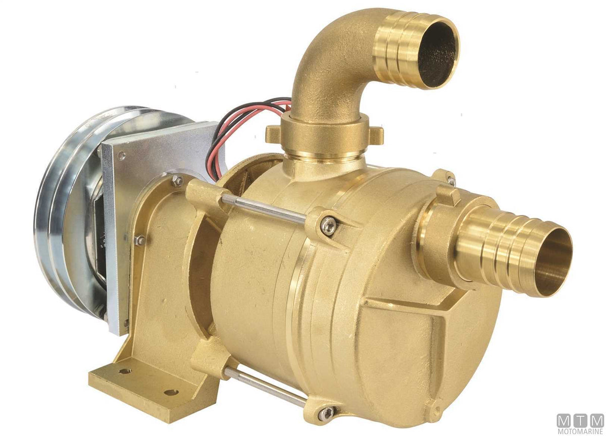IFE series water pump with pulley 24V, Ø30 mm ports - original photo Motomarine Srl