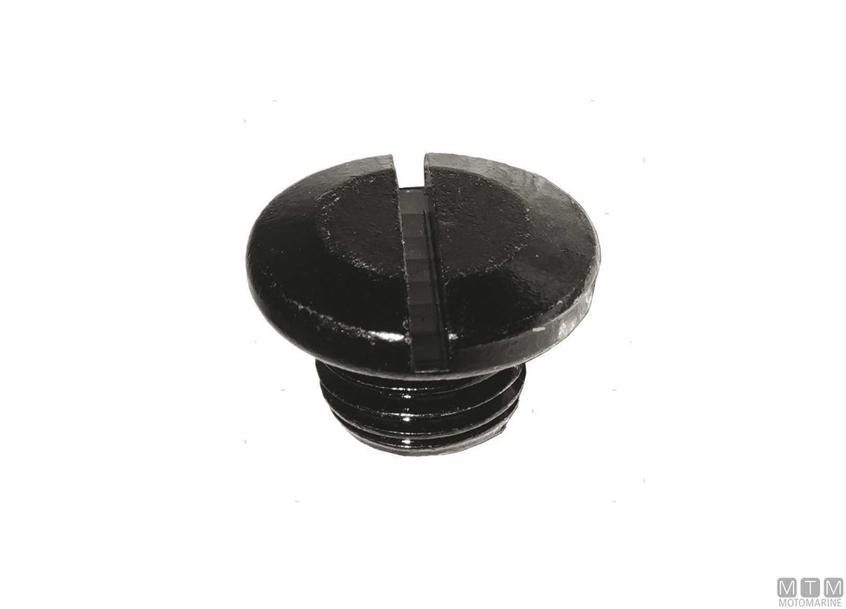 MTM oil drain screw ref. Suzuki 55128-93L00 - original photo Motomarine Srl