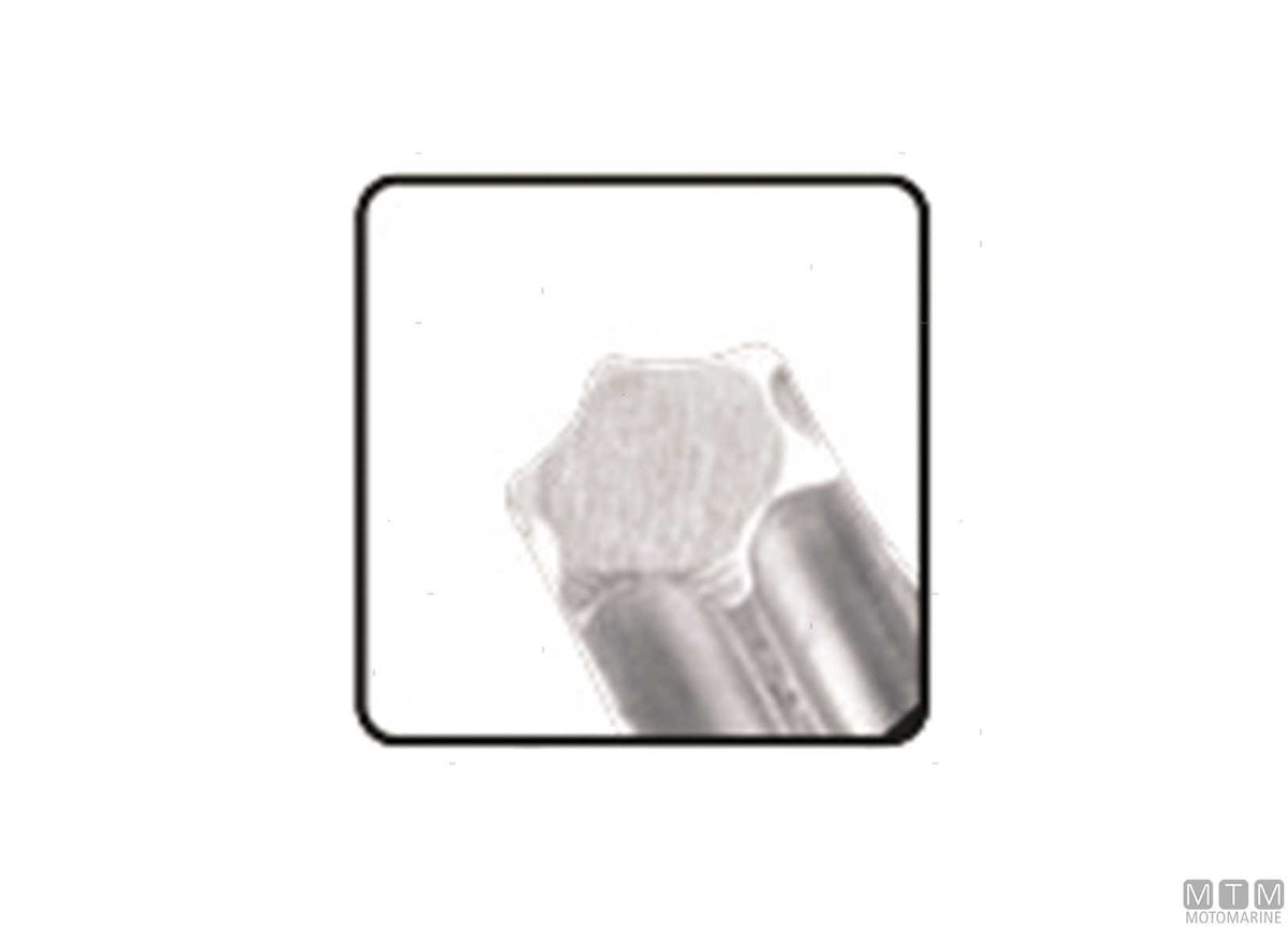 T-handle Torx keys T10-T50, 9-piece set - original photo Motomarine Srl