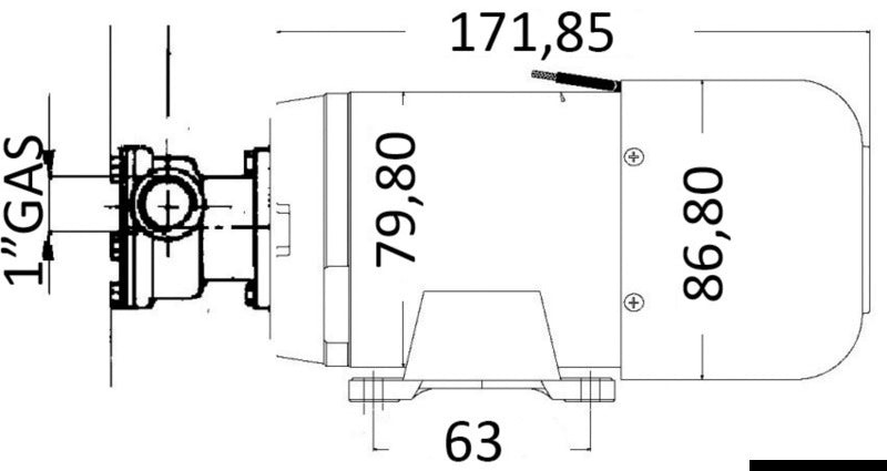 Self-priming bilge pump 24 V 80 l/m - foto originale Osculati Srl