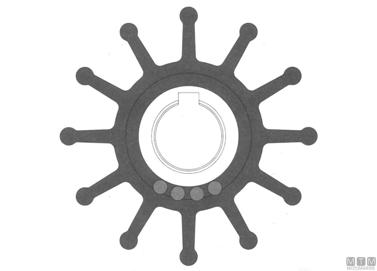 Impeller Johnson 09-704BT-1 - original photo Motomarine Srl