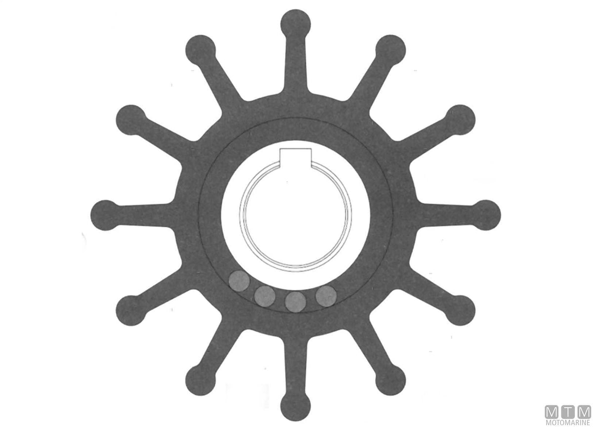 Impeller Johnson 09-704BT-1 - original photo Motomarine Srl