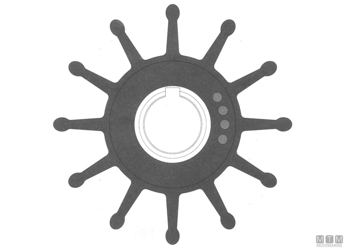 Impeller Johnson 09-704BT-1 - original photo Motomarine Srl
