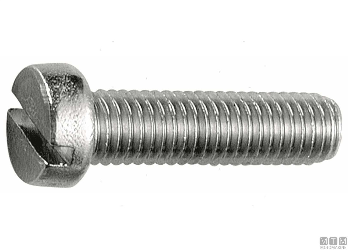 DIN84 A2 stainless steel cheese head screws M5x20, 100 pcs - original photo Motomarine Srl