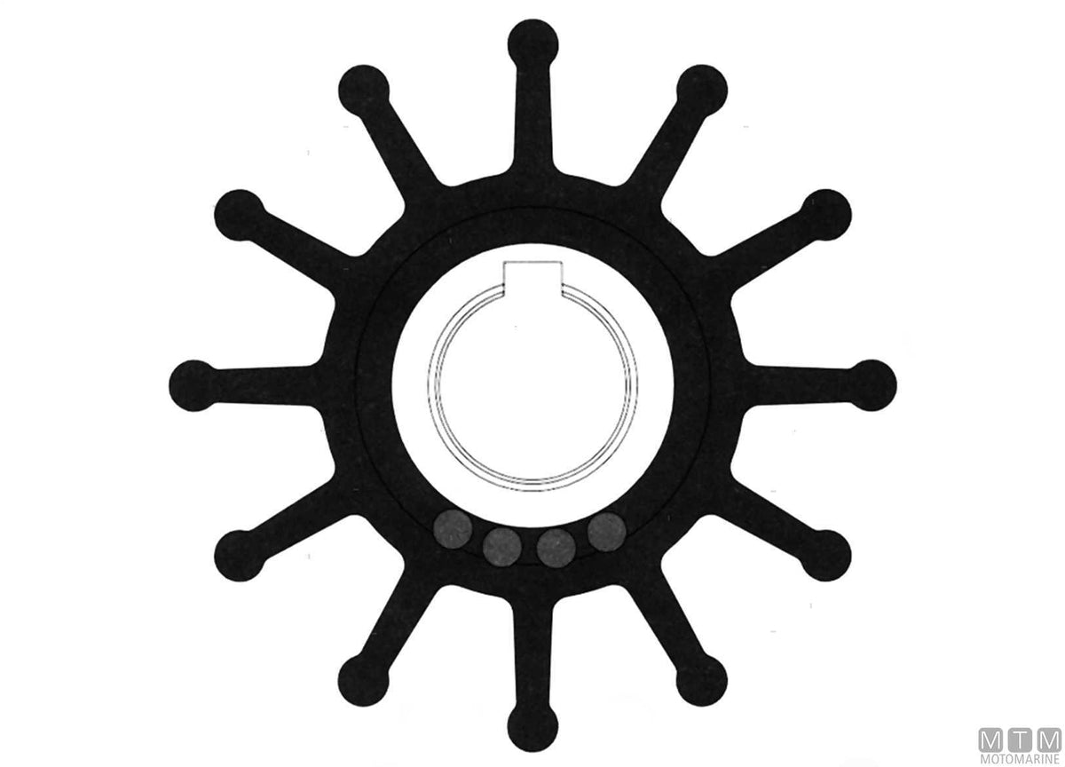 Impeller Johnson 09-701B-1 - original photo Motomarine Srl