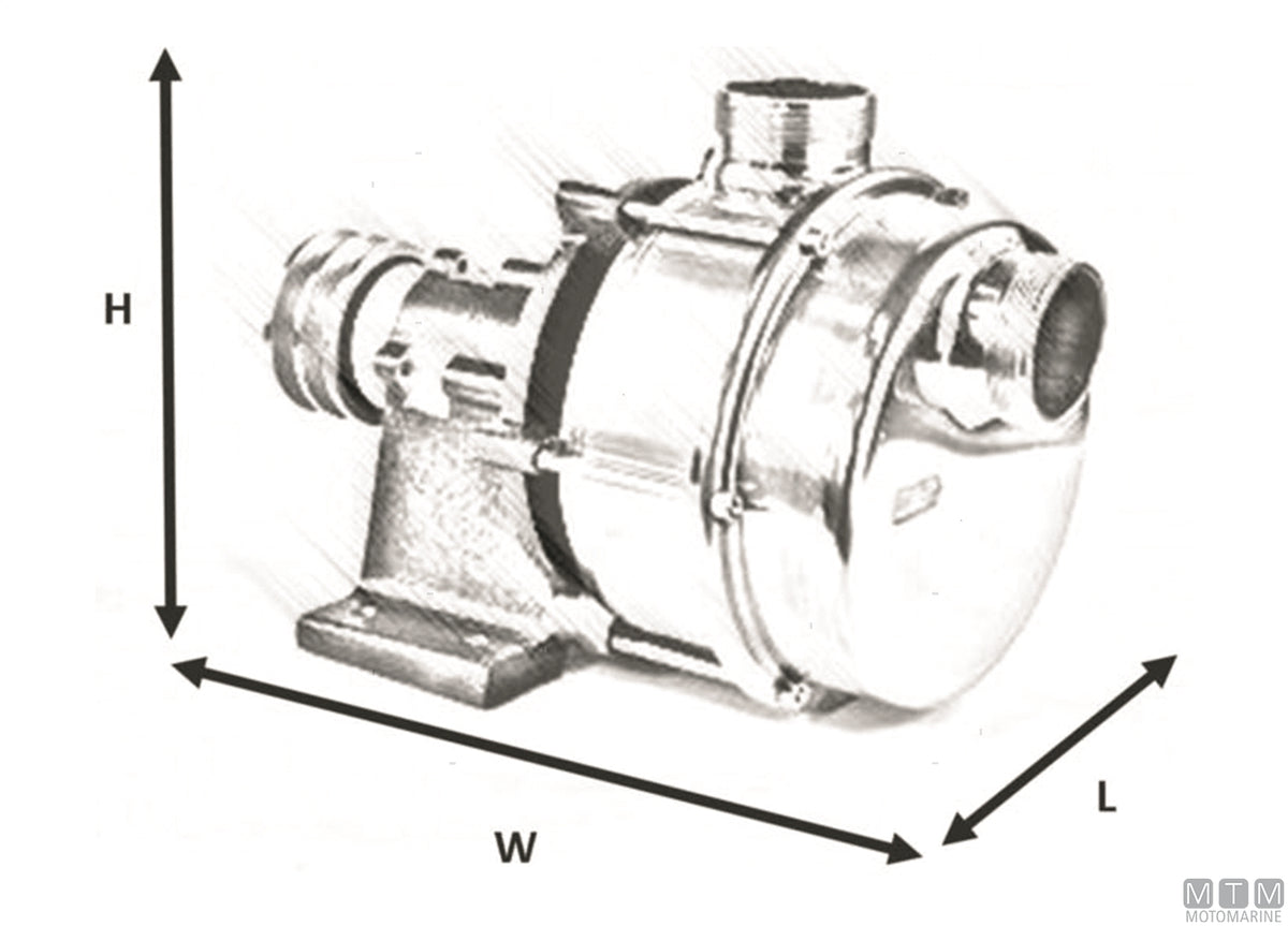 IFE series water pump with pulley 12V, Ø30 mm ports - original photo Motomarine Srl
