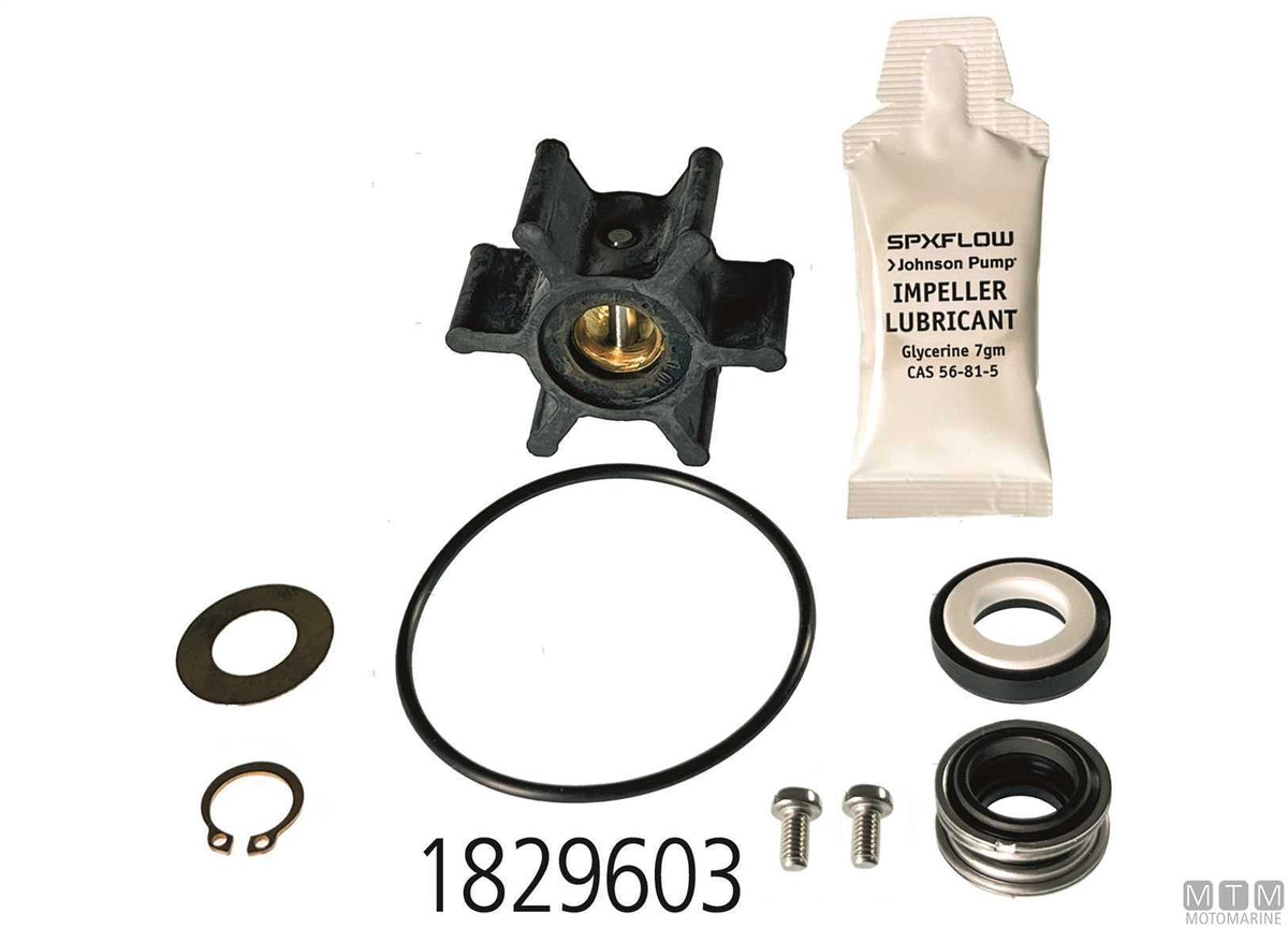 Service kit Johnson F5B-9 - original photo Motomarine Srl