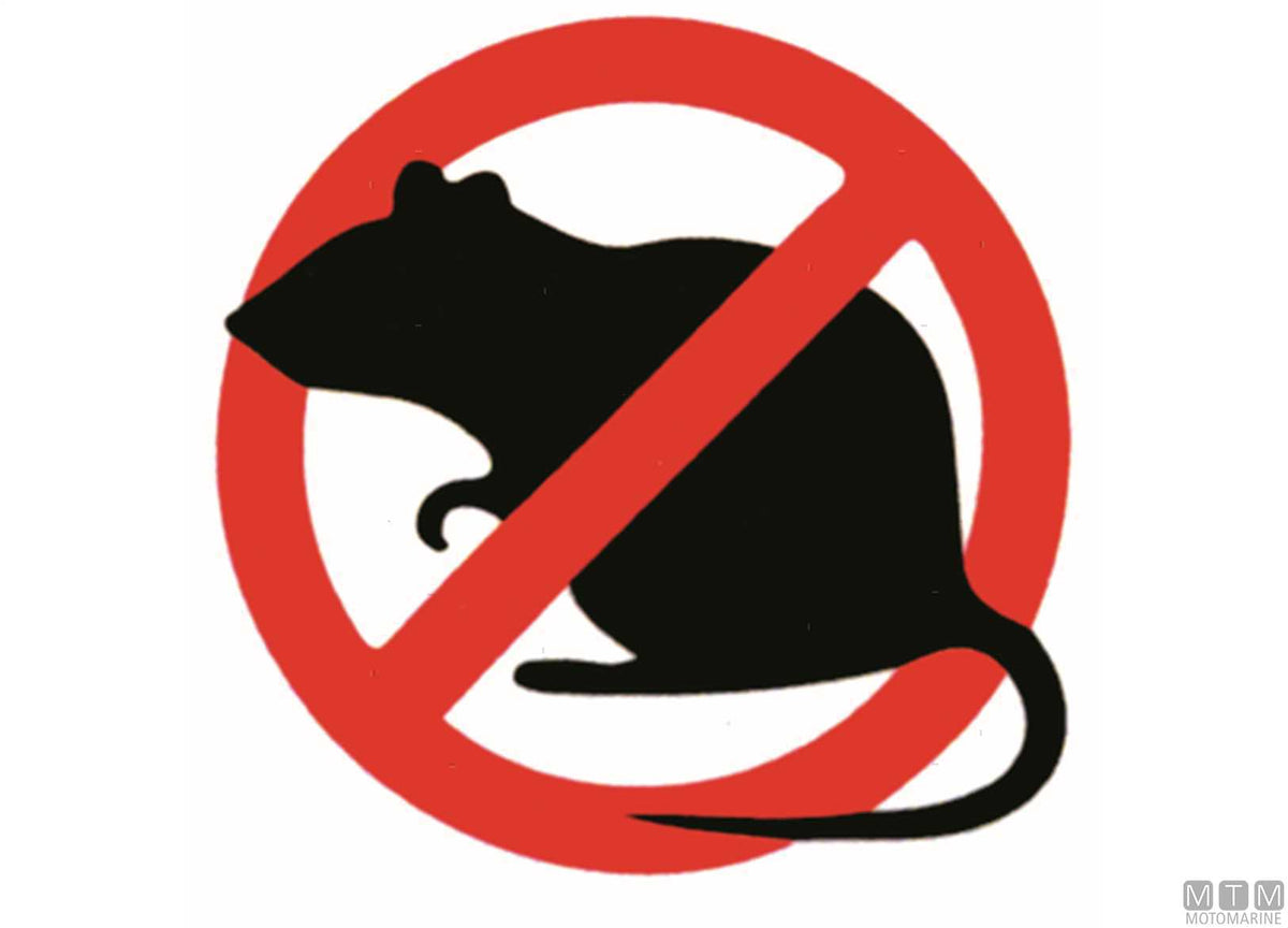 Rat guard disc Ø16<>45 mm - original photo Motomarine Srl